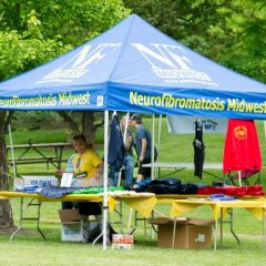 GS NAP 2016 (11)