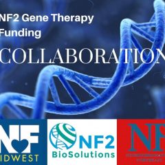 https://www.nfmidwest.org/wp-content/uploads/2020/01/NF2-Research-Collaboration-240x240.jpg