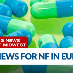 https://www.nfmidwest.org/wp-content/uploads/2025/07/Europe-news-240x240.png